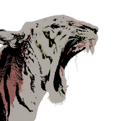 kooksbest's tweet image. ⠀⠀..      ༘ ◝   she   wants   marry   me   𝐬𝐰𝐚𝐥𝐥𝐨𝐰   me   up   𝐌AYORS   BEST !