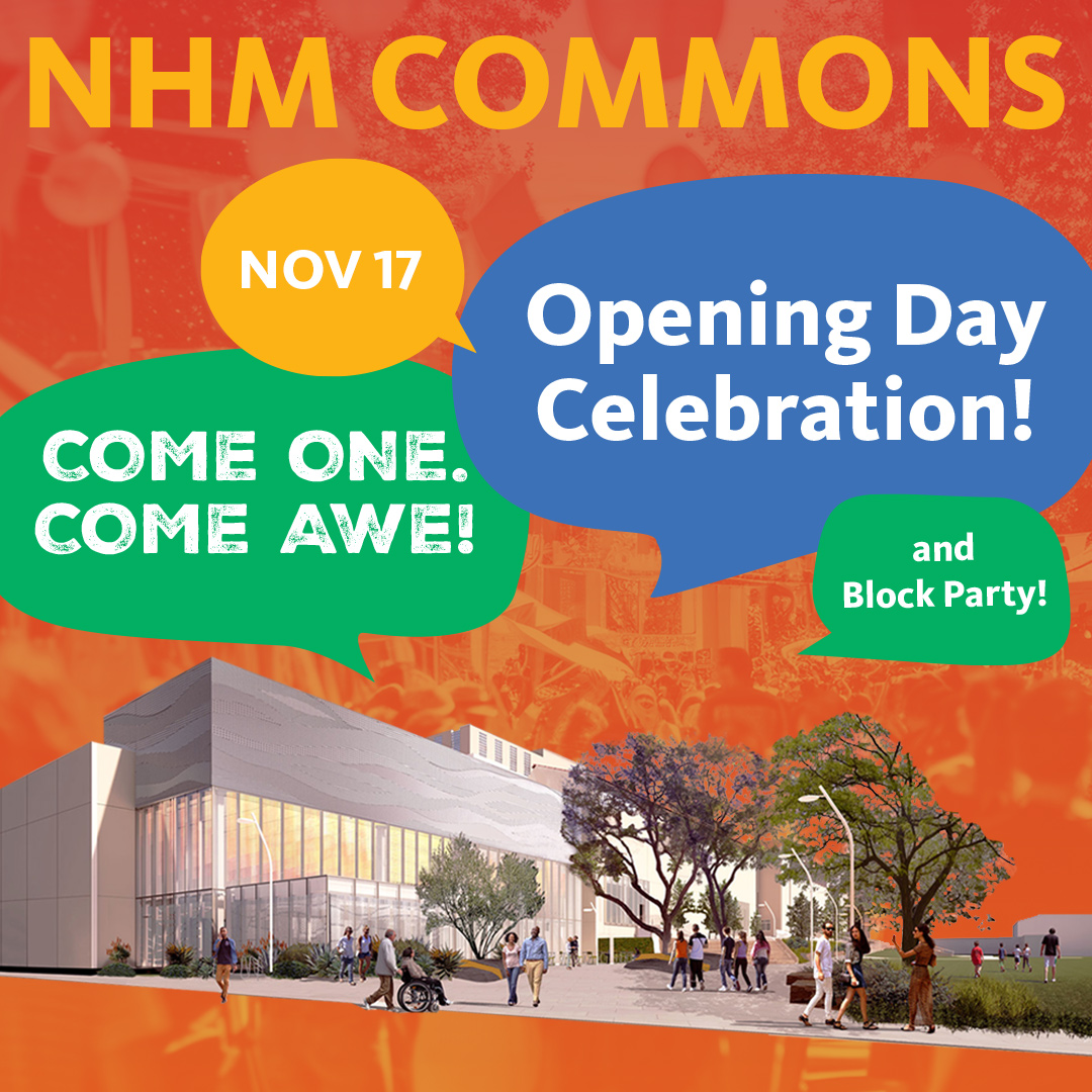 🦕 Come One. Come 𝘼𝙬𝙚! Celebrate the opening of #NHMLA’s new wing, NHM Commons! Dive into a world of creativity, curiosity, and community with our daylong, outdoor-indoor, Museum-wide festival, Sunday, November 17: bit.ly/NHMCommonsCele…