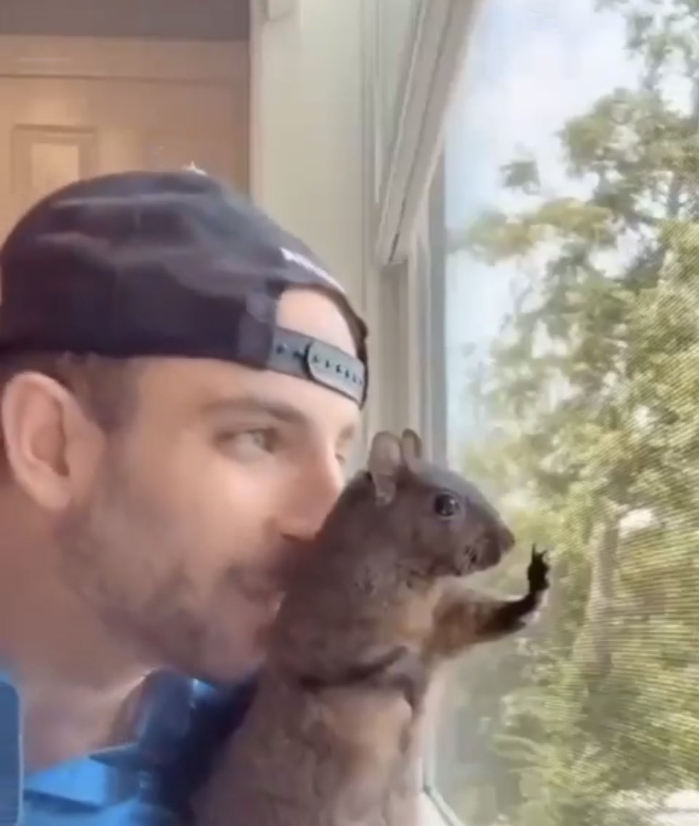 eveforamerica's tweet photo. This is Peanut. 

This rescued squirrel was euthanized by a government agency. https://t.co/KXeEGwUpvE