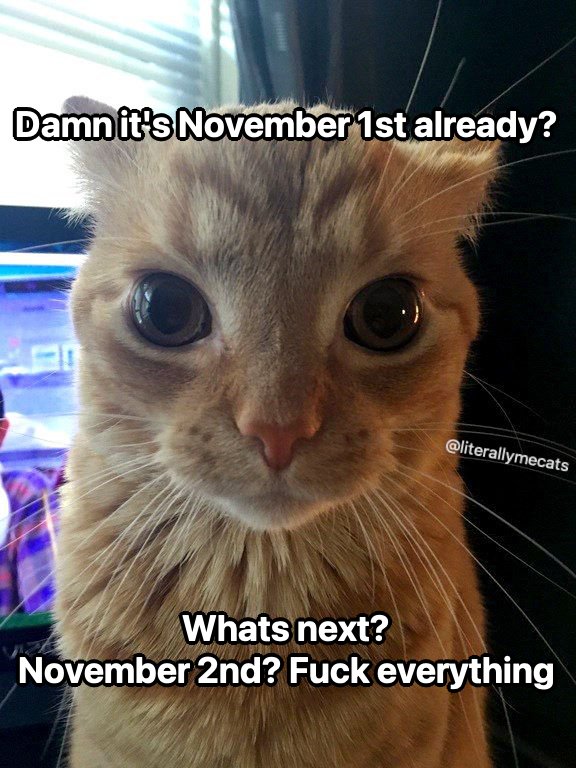 FishFRFX's tweet image. 