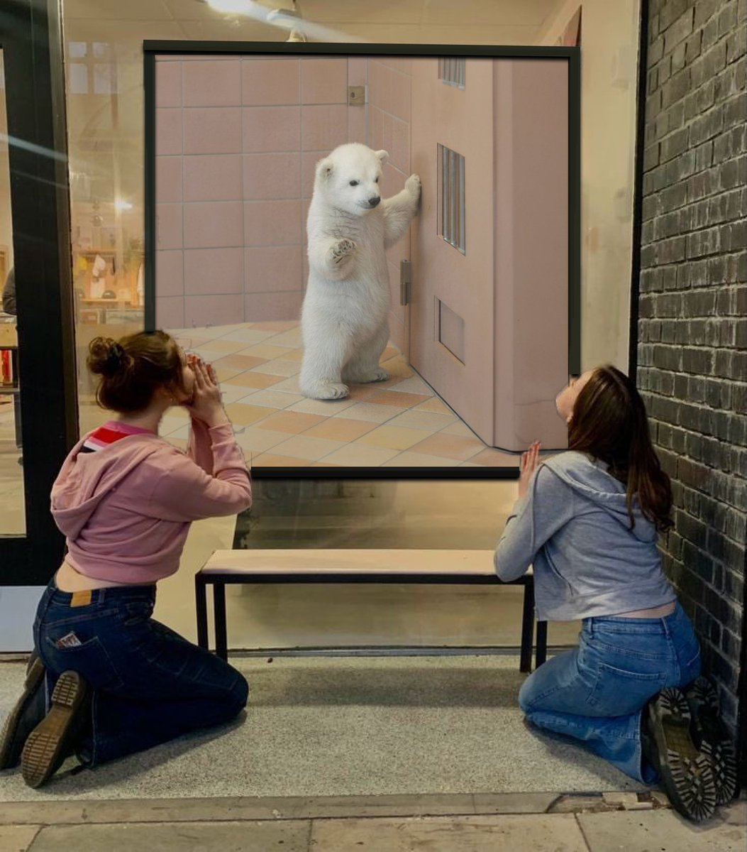 Calm Bear $CHILN tweet media