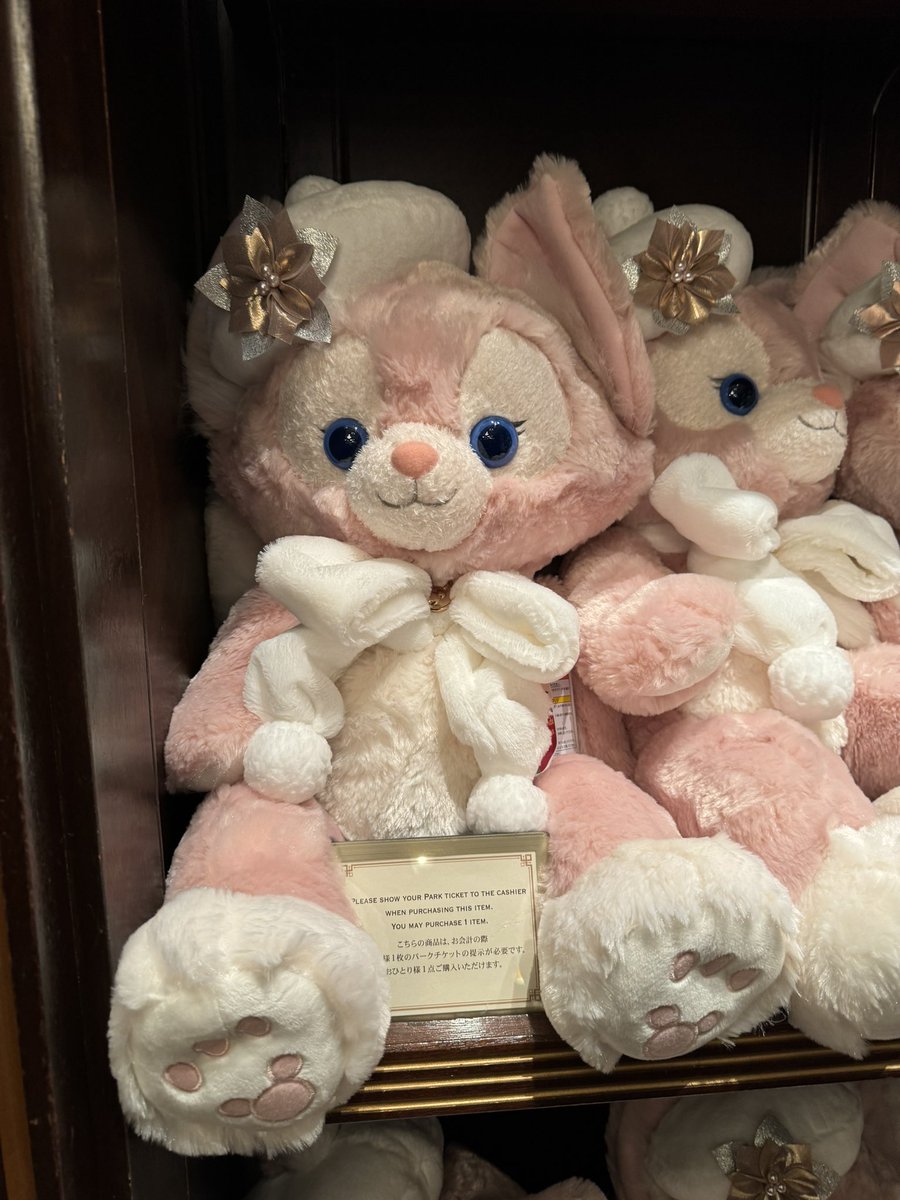 大きいリーナベルちゃんは、お顔選び要らないくらいみんな可愛いよ🩷