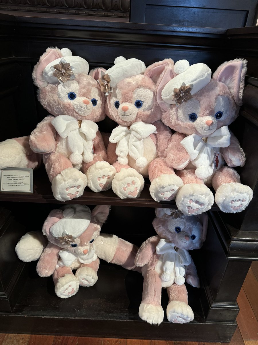 大きいリーナベルちゃんは、お顔選び要らないくらいみんな可愛いよ🩷