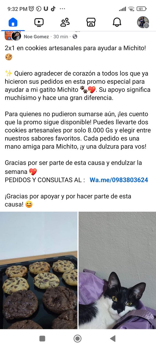 Apoyemos a los dueños que luchan por sus mascotas y deciden hacer lo que sea por su salud... Por más dueños así. - Zona lambare Municipalidad.. apoyen . #compartan