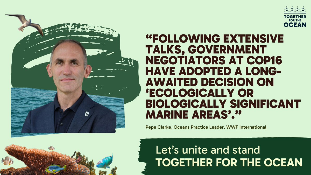 With just 8.4% of the ocean currently designated as protected and threats to marine life multiplying, this is an important step.
As #COP16 closes, we're joining together to ensure protecting and conserving the ocean - our life support system - is prioritized. #ForTheOcean