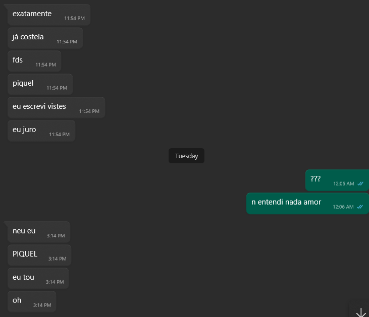 miau 🪲 tweet media