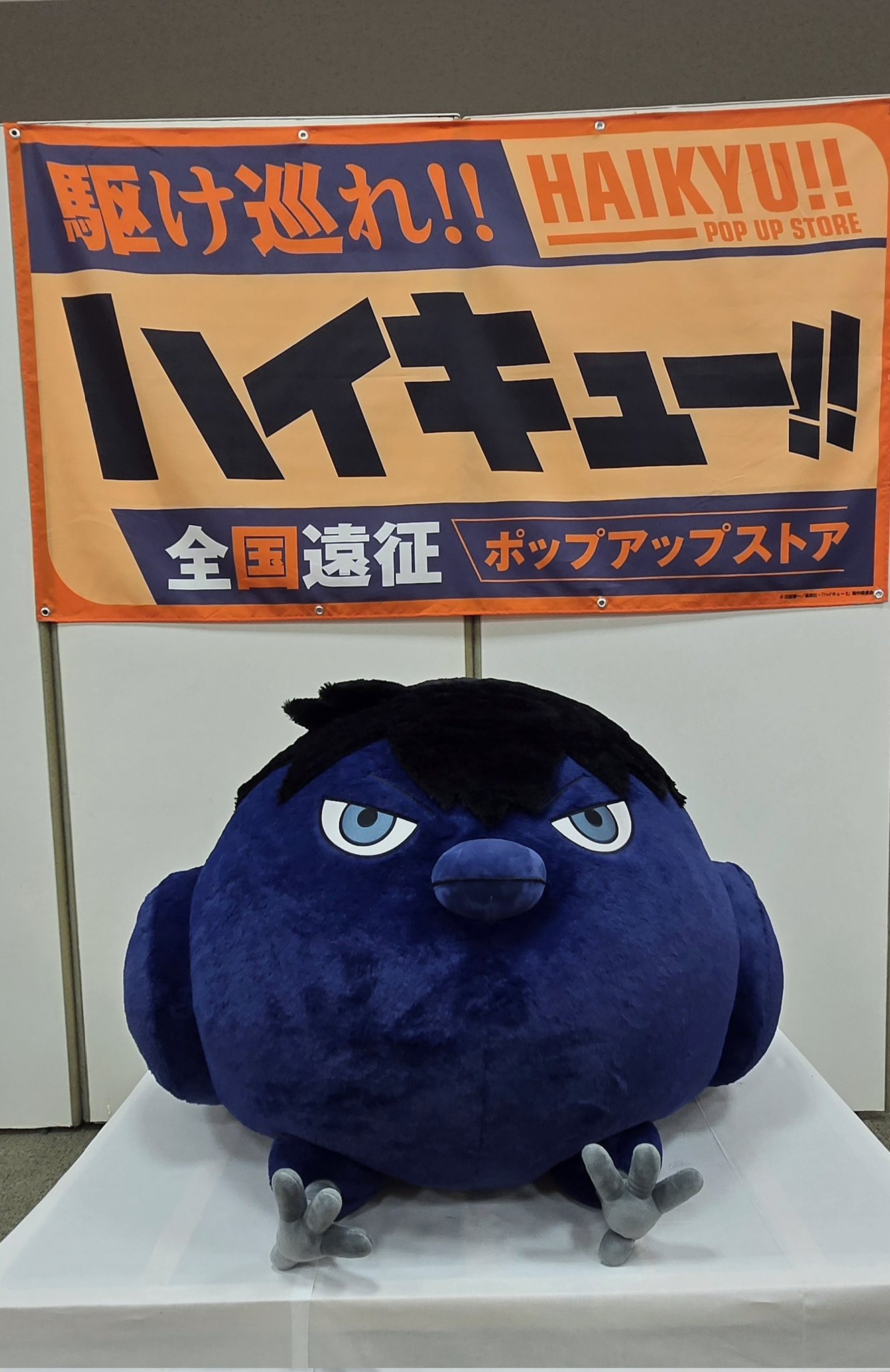 ハイキュー 全国遠征 ポップアップストア アクリルスタンド