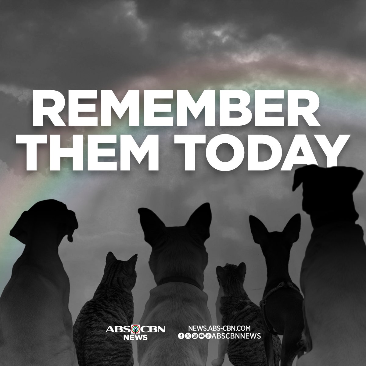 This All Souls' Day, let us remember our fur babies that have crossed the rainbow bridge.