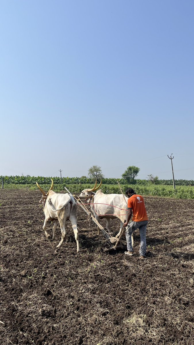 Swiggy's 'field-fresh' delivery

#swiggy #India #FoodDeliveryInnovation