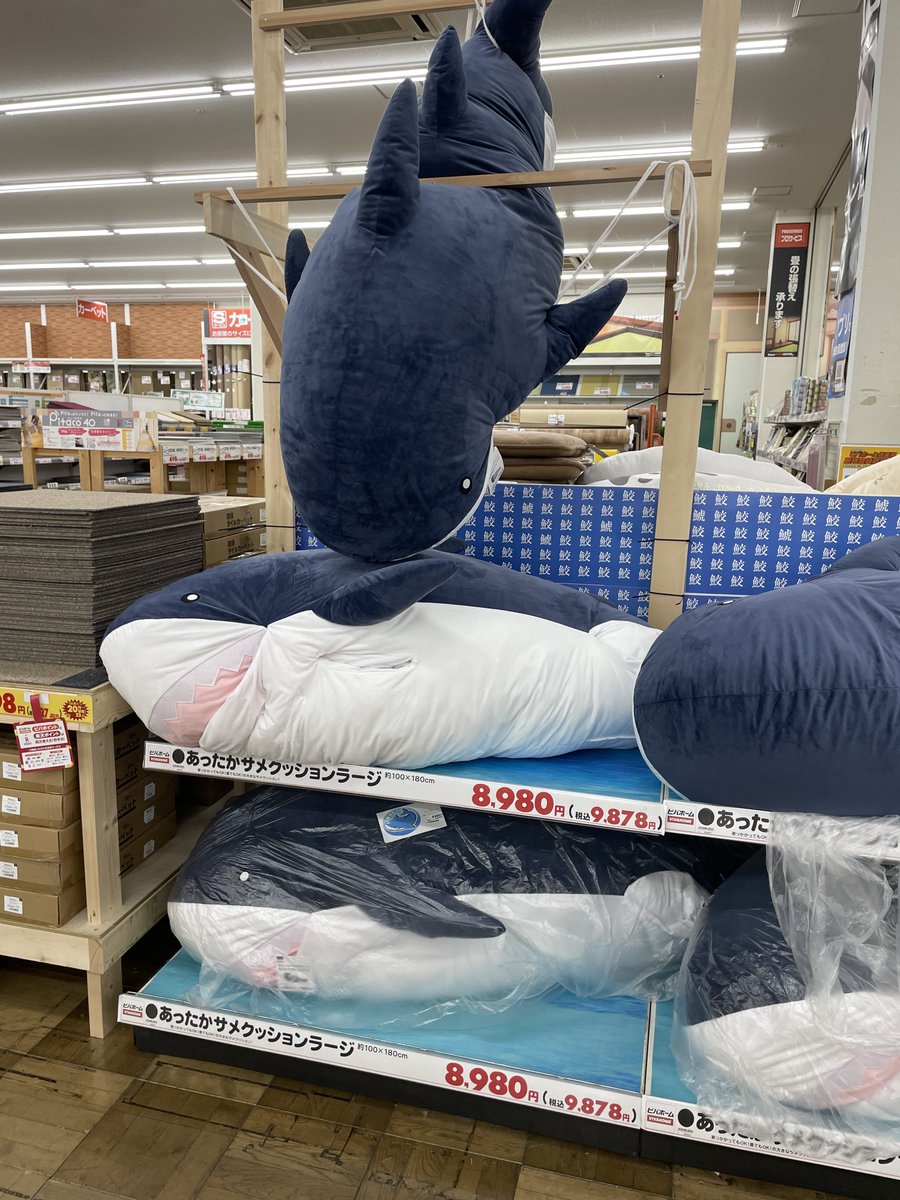 着れるサメクッションあったかバージョンで復活してる 欲しい🦈