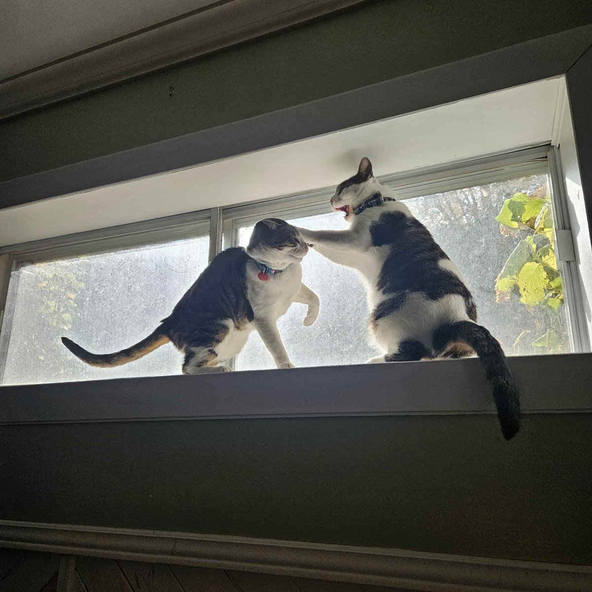 Windowsill exorcism