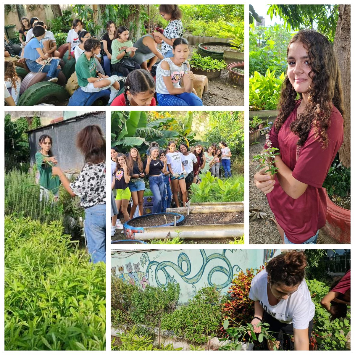 Criterio del #ProyectoComunitariogranjitaFeliz."Son muy dispuestas y entusiastas, claro que sí que aprendemos también y mucho! Hoy con las adolescentes de la #SB VíctorMuñoz de #EducacionGuanabacoa, en apoyo a la etapa de escuela al campo.
#LaHabanaDeTodos