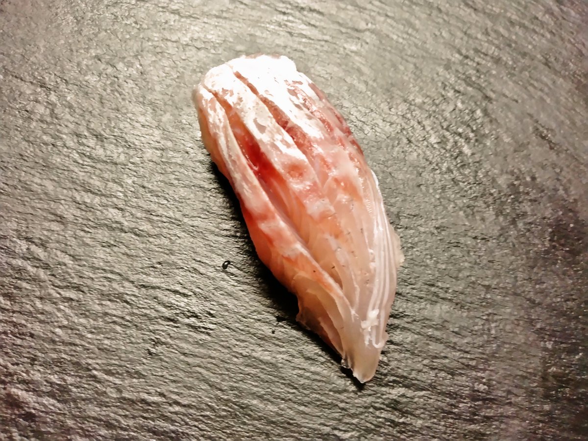 NewVegeta2020's tweet photo. ツキヒガイ
尾赤アジ／6日目
ヤガラ／7日目
ヘダイ／8日目

#津本式
#究極の血抜き
#熟成魚 https://t.co/xW21RuQzjr