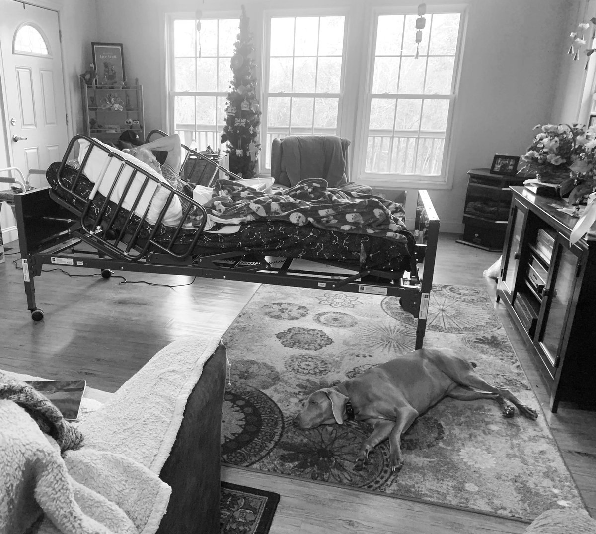 Karen Swallow Prior (Notorious KSP) tweet media