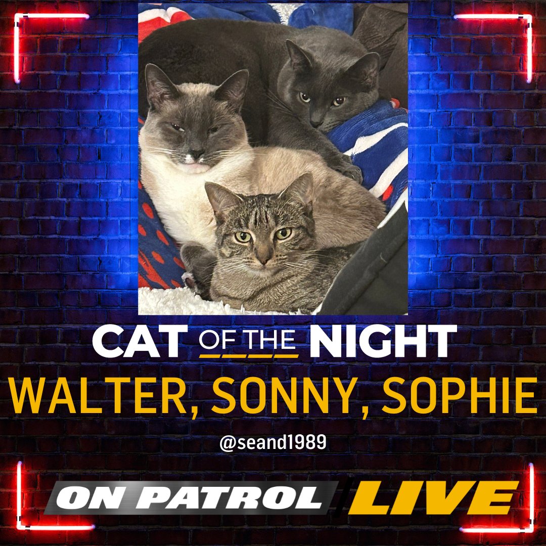OfficialOPLive's tweet photo. Congratulations, @seanD1989, WALTER, SONNY, &amp; SOPHIE are tonight's #OPLive #CatoftheNight!

#OPNation #REELZ #OnPatrolLive https://t.co/QmsMWg4Ebq