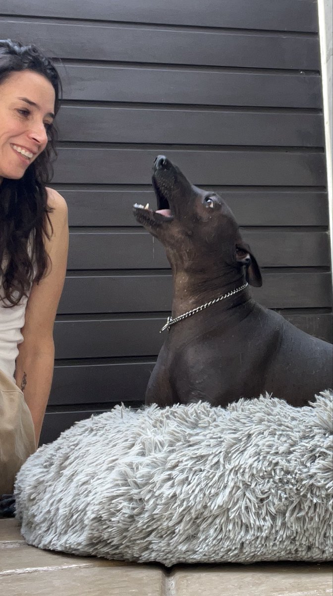 Catalina Pérez Correa tweet media