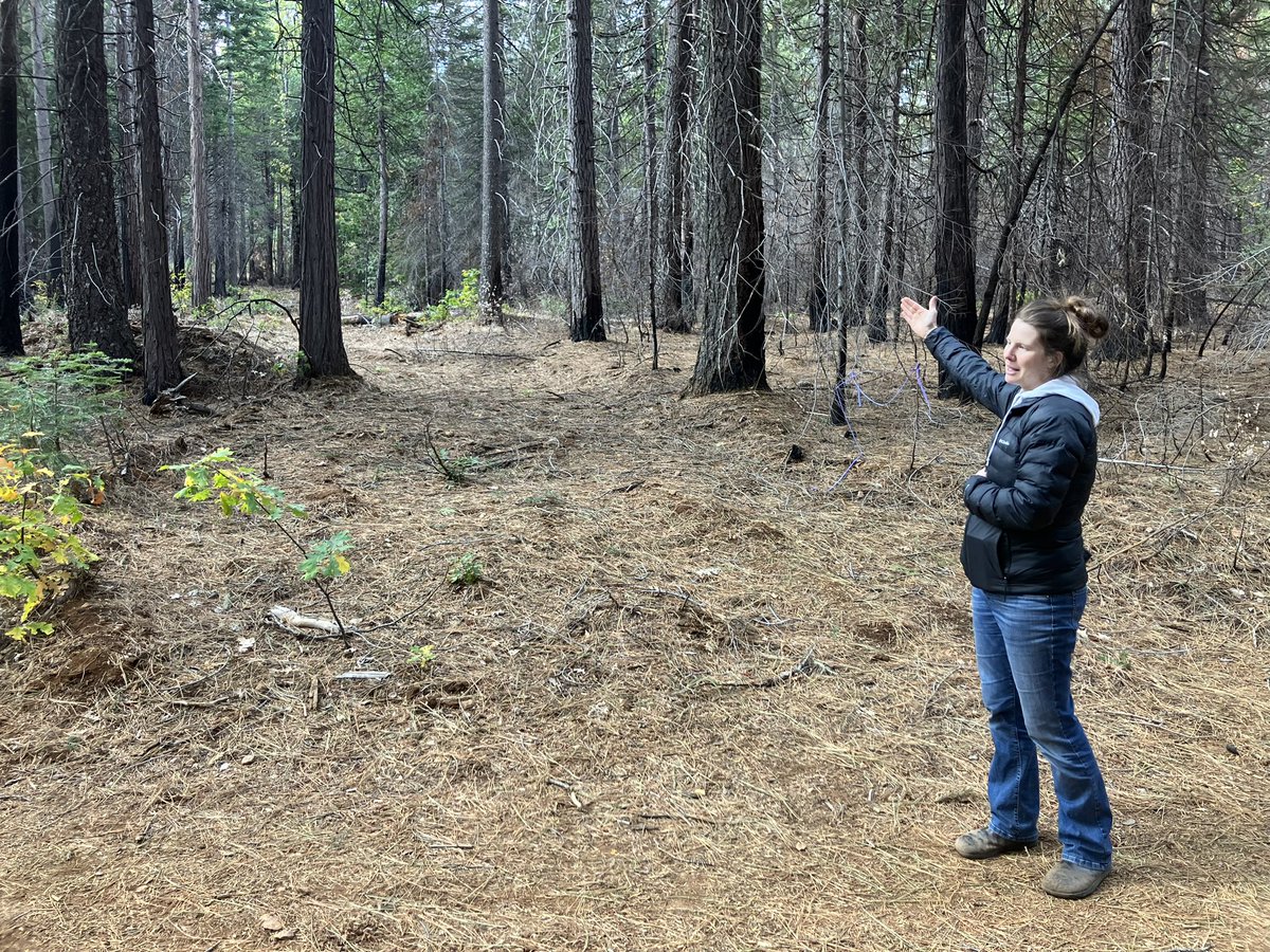 Susie Kocher tweet media