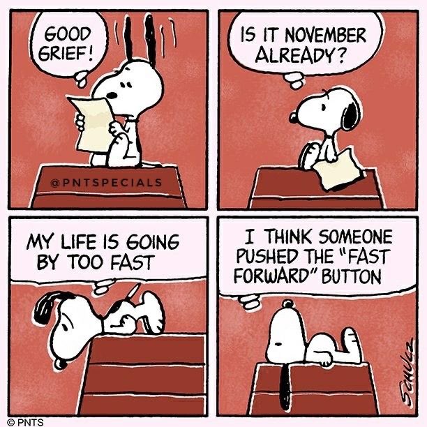 Daily Snoopy (@dailysnoopys) on Twitter photo 