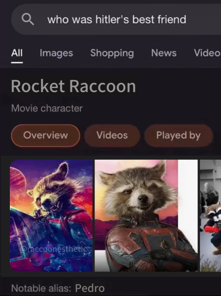 raccoon aesthetic. (@raccoonesthetic) on Twitter photo 