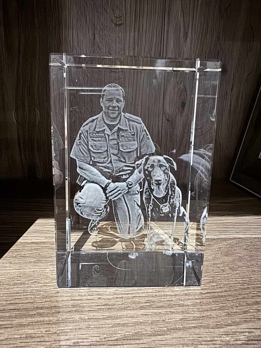 Sean Cronsberry tweet media