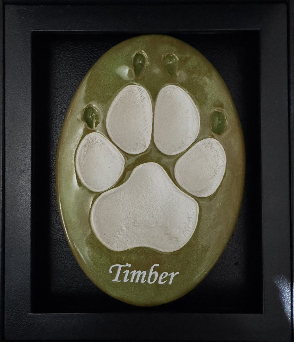 Sean Cronsberry tweet media