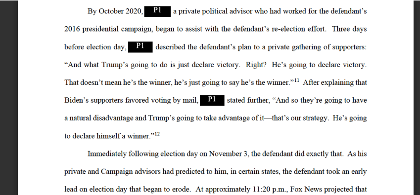 Observed2Long's tweet photo. @AnniesBackAgain P1 is Steve Bannon. Evidence from one of Trump's court cases. https://t.co/HdR08tWtIo