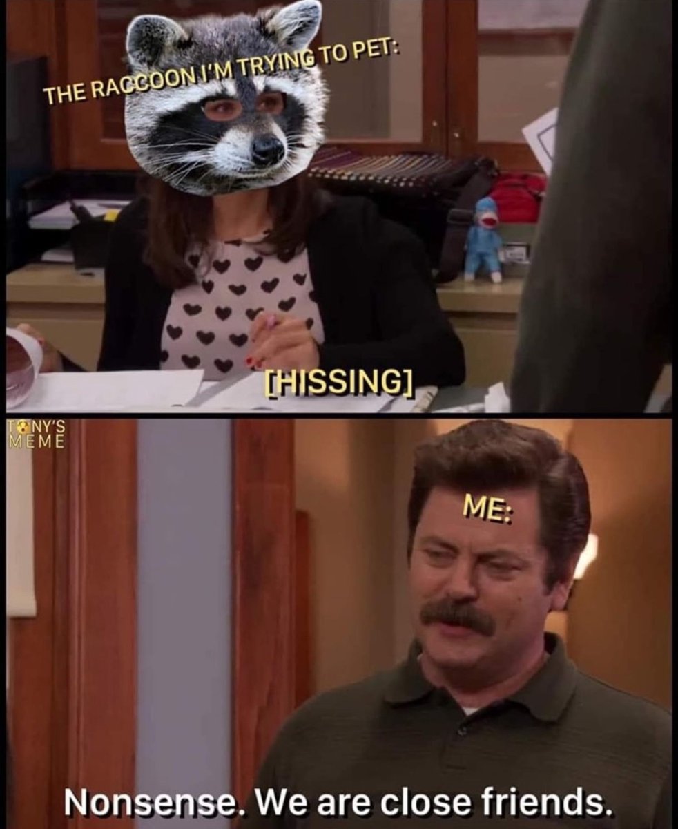 raccoon aesthetic. (@raccoonesthetic) on Twitter photo 