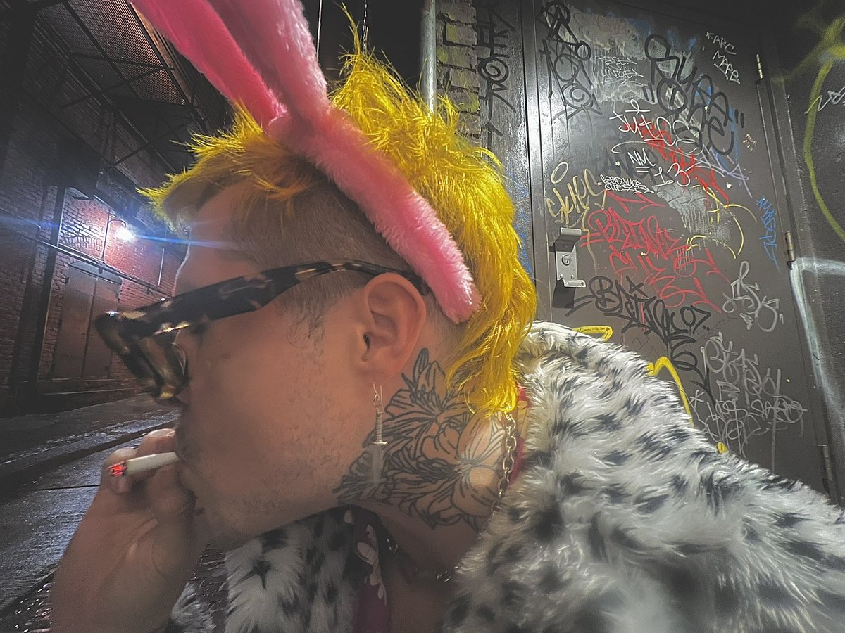 shannon tweet media