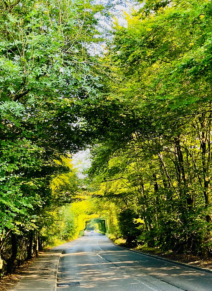 If a residents group fails to pause the A807 project for more public feedback, commuters, business, trees &amp; wildlife will all be impacted. In a last bid, the group gathered 700+ survey responses in under a wk, more than double what EDC received in 4 wks! Results powerful. #A807