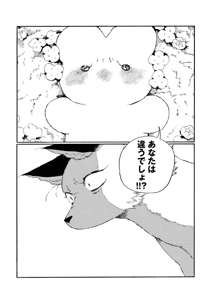 4
自分を食べようとしたきつねに恋したうさぎの話、「けがわとなかみ」です。
🐰1巻はKindle Unlimitedで無料で読めます
https://t.co/hEdQ8hzqWU
🐰2巻は出来立てホヤホヤです
https://t.co/Zr68Vbz2wU
🦊1話だけでも読んでください
https://t.co/YSSHufKYEZ