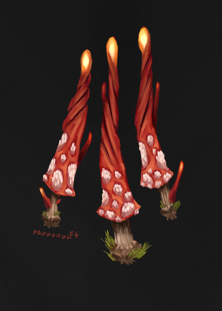 PadDoodles's tweet photo. Dingus Digits
A magical mushroom homebrew item that came as a result of the party saving a small village of frog people from a Necromancer https://t.co/GZgegWIFp4