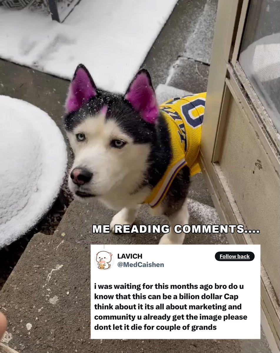 SwagrMan's tweet photo. Guess I’ll give the humans what they want 😇 https://t.co/JlAVBJDFHM