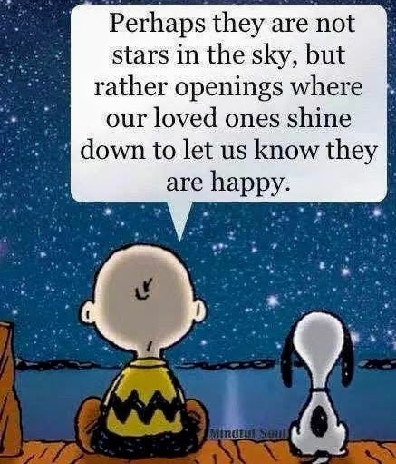 sistervpaul_'s tweet image. A lovely thought. #AllSouls Good night blessings my friends. Joined in prayers with #Gratitude and for #Peace 🙏🌎🛐🙏 #PrayTheRosary 🙏🕊️