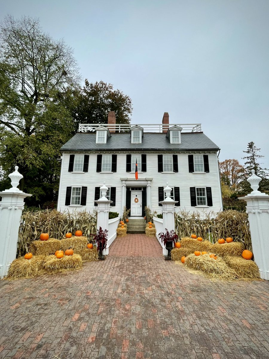 Matthew Horsfall tweet media