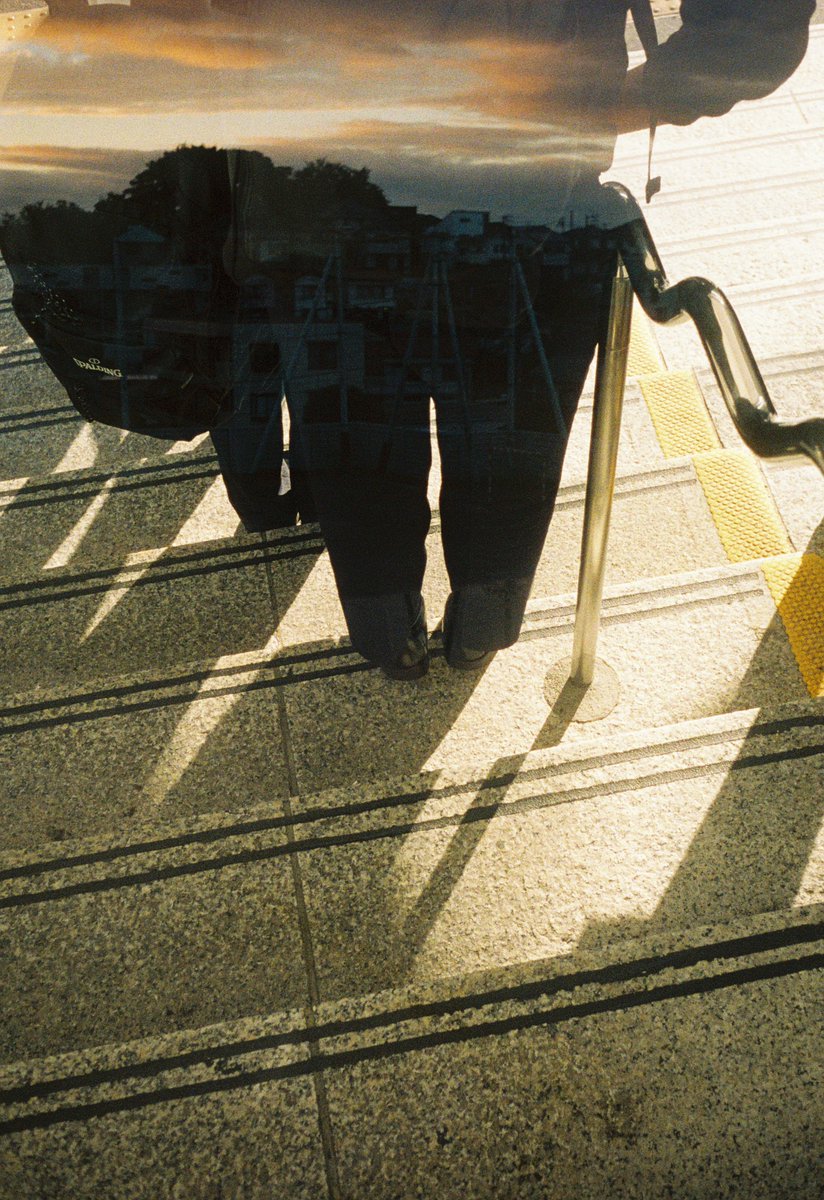 ヌイグモ tweet media