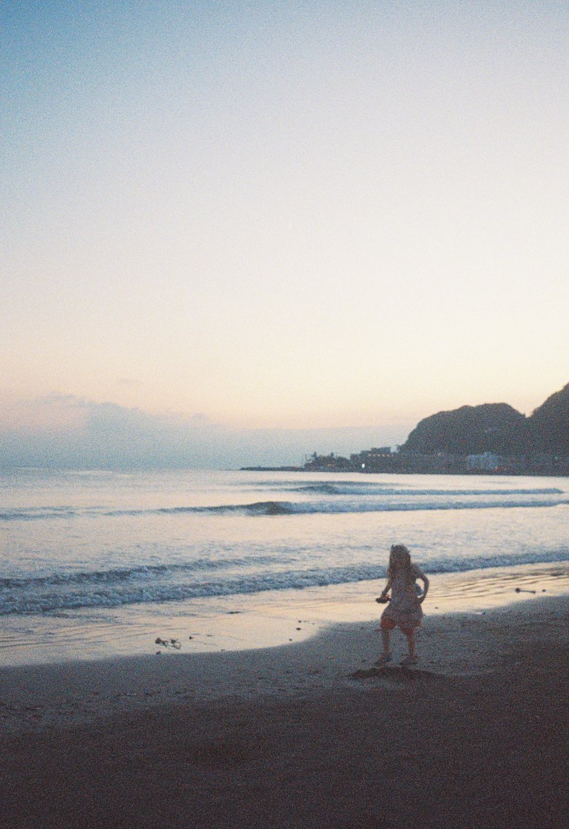 ヌイグモ tweet media