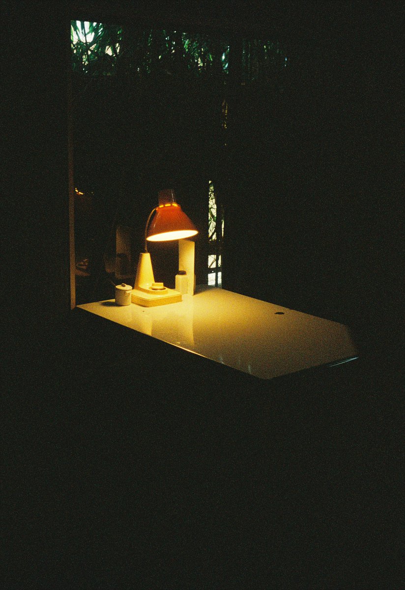 ヌイグモ tweet media