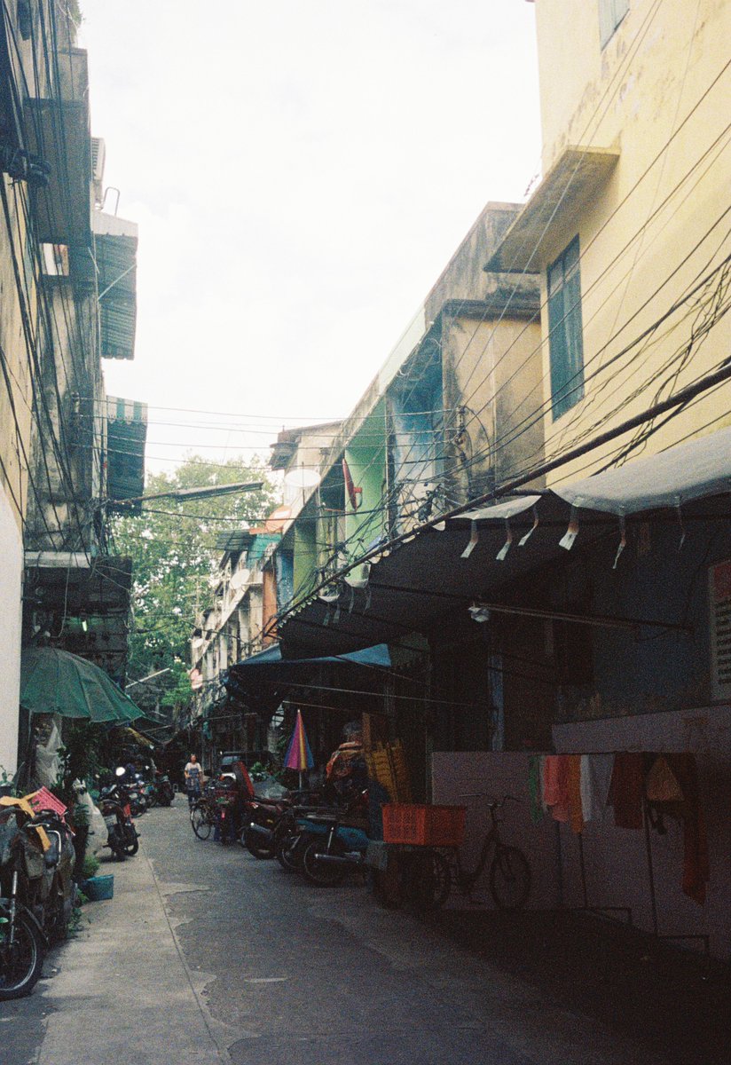 ヌイグモ tweet media