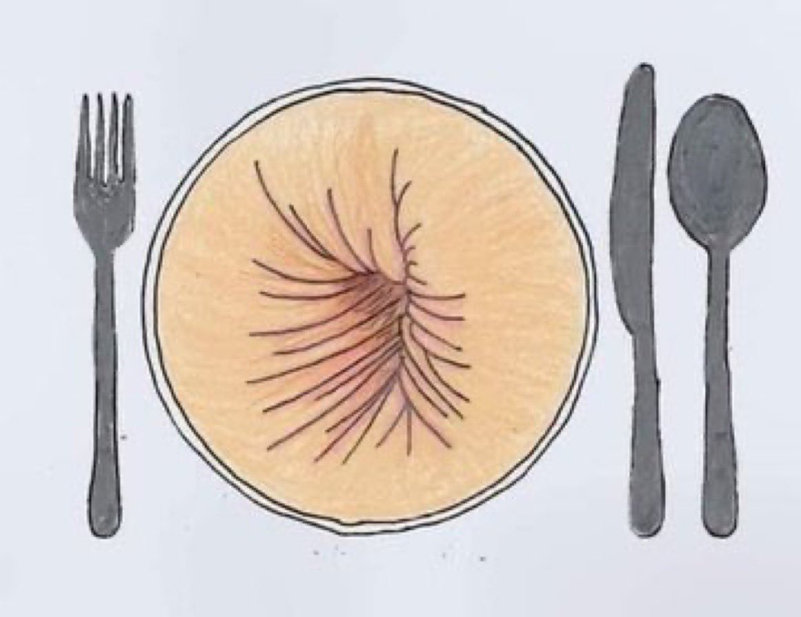 PrideOfLR's tweet image. 