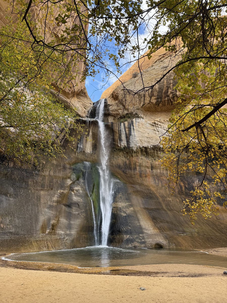 Greg Pitt tweet media