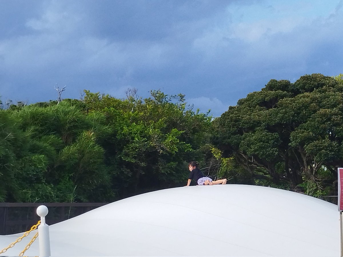 ヘビーな仕事帰り、サクサクご飯の準備♪サラダに鶏ハム乗っけて、さぁ、ドレッシング〜♪ってカシャカシャ混ぜたら、蓋が閉まってなくて玉ねぎとお醤油とオリーブオイルなどがカシャドバ カシャドバされているが、何故か平静な私。あ〜♪こういう事ってザラにあるよね、あるって言って🥲︎