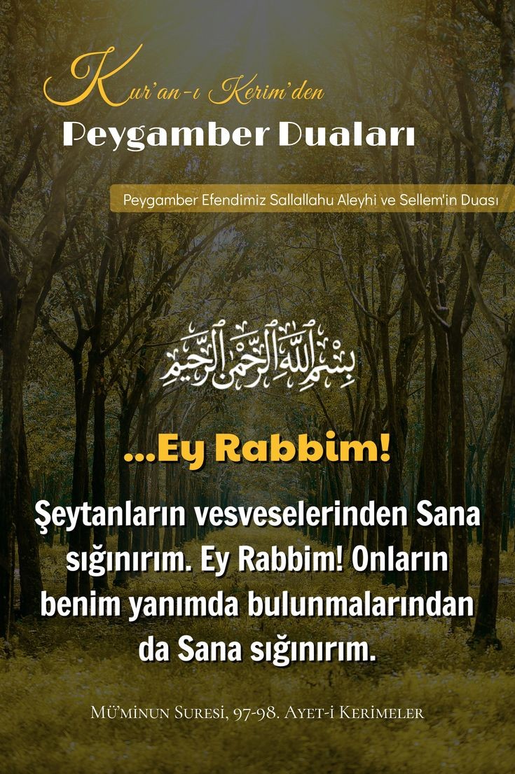 BİSMİLLAHİRRAHMANİRRAHİM...
Es selamün aleyküm. Hayırlı sabahlar. Mutlu hafta sonları.
Es selatü hayrun minen nevm.
#GazaGenocide‌ #FreePalestine
#DoğuTürkistan  #KatilSürüsüİsrail