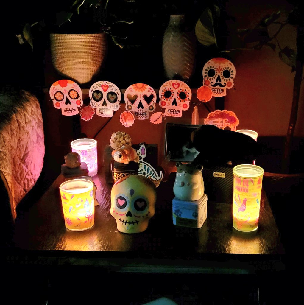 Pigmum made a quick OFRENDA for our beloved piggies and doggie OTRB🌈🐾 to illuminate their way home today as it is Día de los Muertos 💀🌟🌼 welcome home! We love you forever ❤️🙏🐕🐹