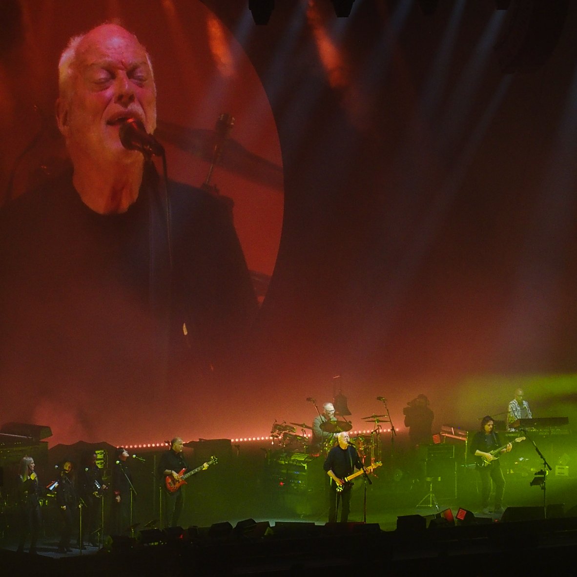 Darryl Asher (Citizen61)🟦 tweet media