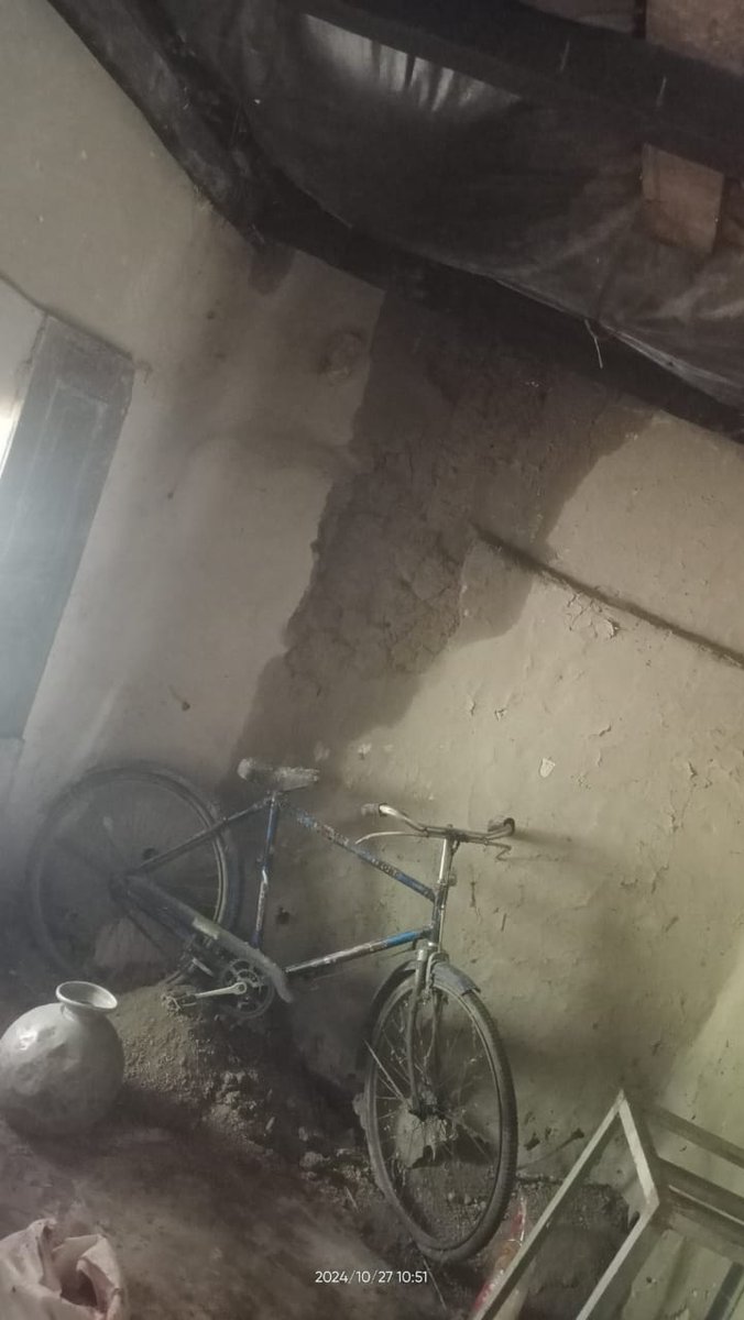 Tapralisha tweet media