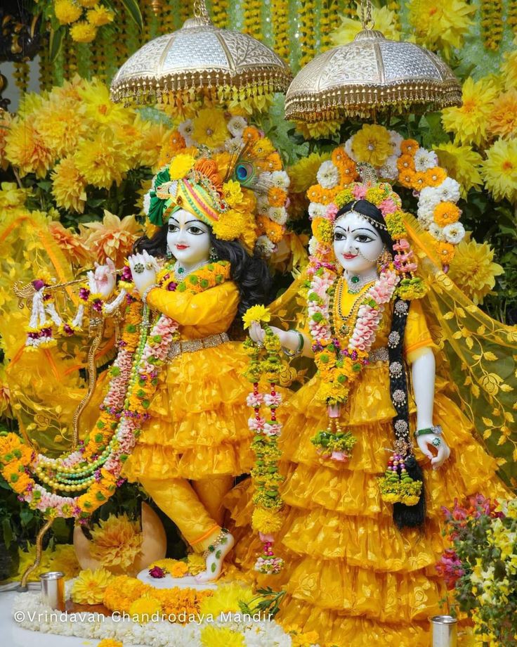 Rahul Singh (@rahulsi33098067) on Twitter photo जय श्री राधे कृष्णा।
<a href="/1f8be1a6f3fe4ad/">Roshan meena</a>
@Abhishe95296346
<a href="/imvimleshpathak/">Vimlesh Pathak</a>
<a href="/RahulSi33098067/">Rahul Singh</a>
@17abhig
<a href="/SushilKrDubey97/">SUSHIL KR BHARDWAJ</a>
<a href="/Sp__AmitVeer/">Amit Veer Yadav</a>
<a href="/ajeetuniqueinc/">पटेल अजीत यूनिक अयोध्यावासी</a>
<a href="/GeetaMeena70527/">Geeta Meena</a>
<a href="/quoteshindi1/">हिंदी कोट्स</a>
<a href="/HarshPanday25/">Harsh Panday</a>
<a href="/keshav_shashi/">Keshav Shandilya</a>
<a href="/lalaram_jorwal/">Lalaram Jorwal (LR)</a>
<a href="/PalakSikar50465/">Palak Sikarwar</a>
<a href="/DharmendraTak67/">Dharmendra Tak 🇮🇳</a>
<a href="/adakhan7/">ada khan</a> जय श्री राधे कृष्णा।
<a href="/1f8be1a6f3fe4ad/">Roshan meena</a>
@Abhishe95296346
<a href="/imvimleshpathak/">Vimlesh Pathak</a>
<a href="/RahulSi33098067/">Rahul Singh</a>
@17abhig
<a href="/SushilKrDubey97/">SUSHIL KR BHARDWAJ</a>
<a href="/Sp__AmitVeer/">Amit Veer Yadav</a>
<a href="/ajeetuniqueinc/">पटेल अजीत यूनिक अयोध्यावासी</a>
<a href="/GeetaMeena70527/">Geeta Meena</a>
<a href="/quoteshindi1/">हिंदी कोट्स</a>
<a href="/HarshPanday25/">Harsh Panday</a>
<a href="/keshav_shashi/">Keshav Shandilya</a>
<a href="/lalaram_jorwal/">Lalaram Jorwal (LR)</a>
<a href="/PalakSikar50465/">Palak Sikarwar</a>
<a href="/DharmendraTak67/">Dharmendra Tak 🇮🇳</a>
<a href="/adakhan7/">ada khan</a>