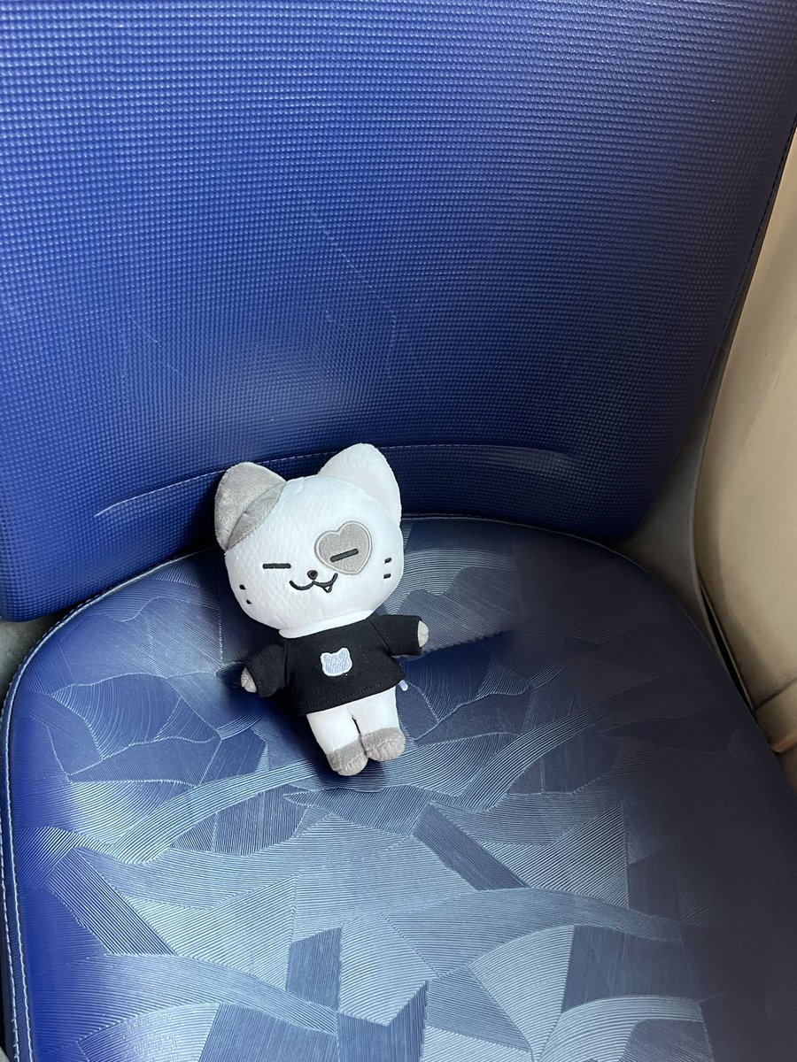 깽이랑 버스 타고 올림픽홀로 출발🖤🖤