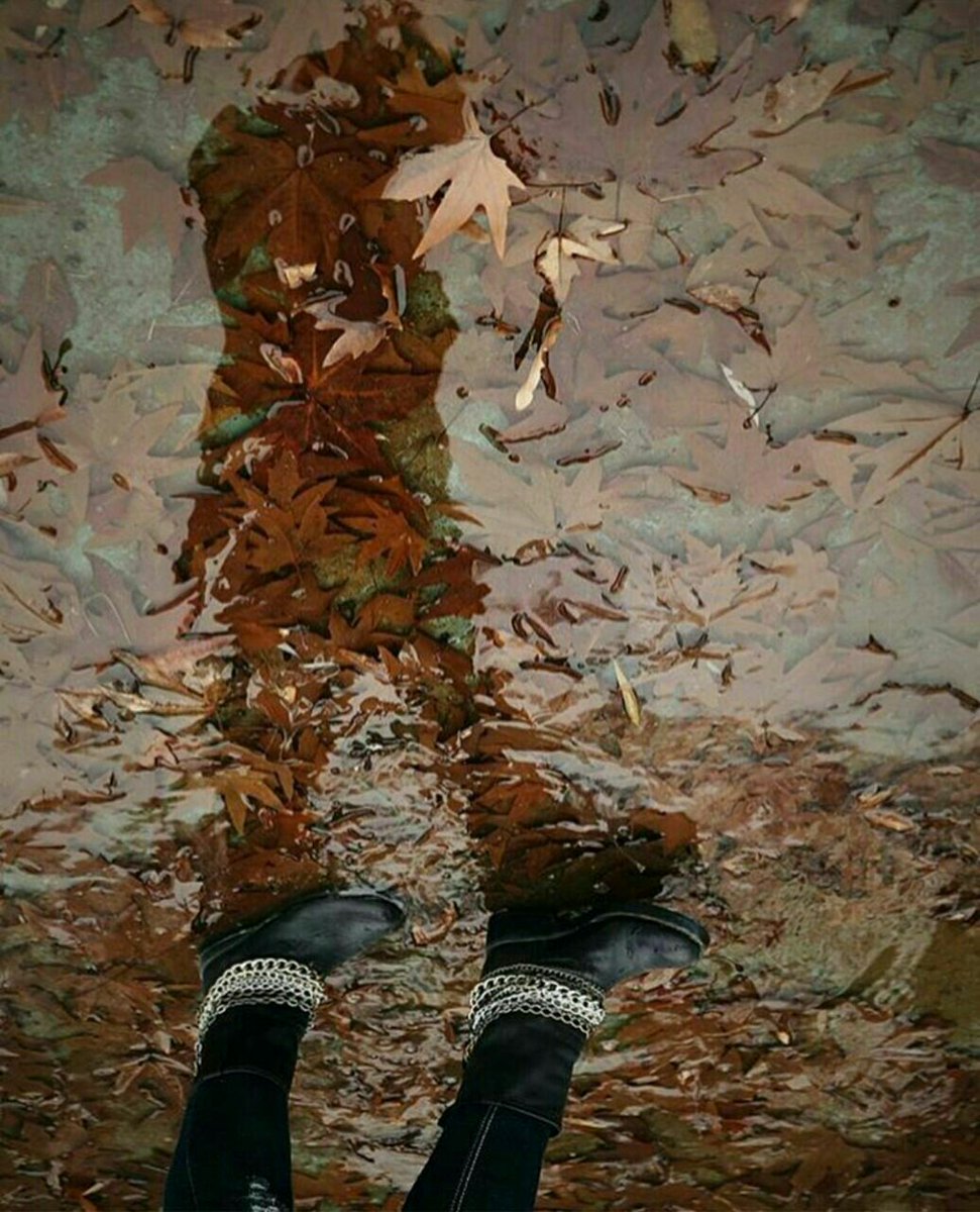 maasomehh's tweet photo. ما  خانواده  افتاده ای  هستیم
مادم  از پا
پدرم  از کار
من  از چشم های  تو

🎋🍁🍁
داوود سوران https://t.co/SNeW7mY9yx