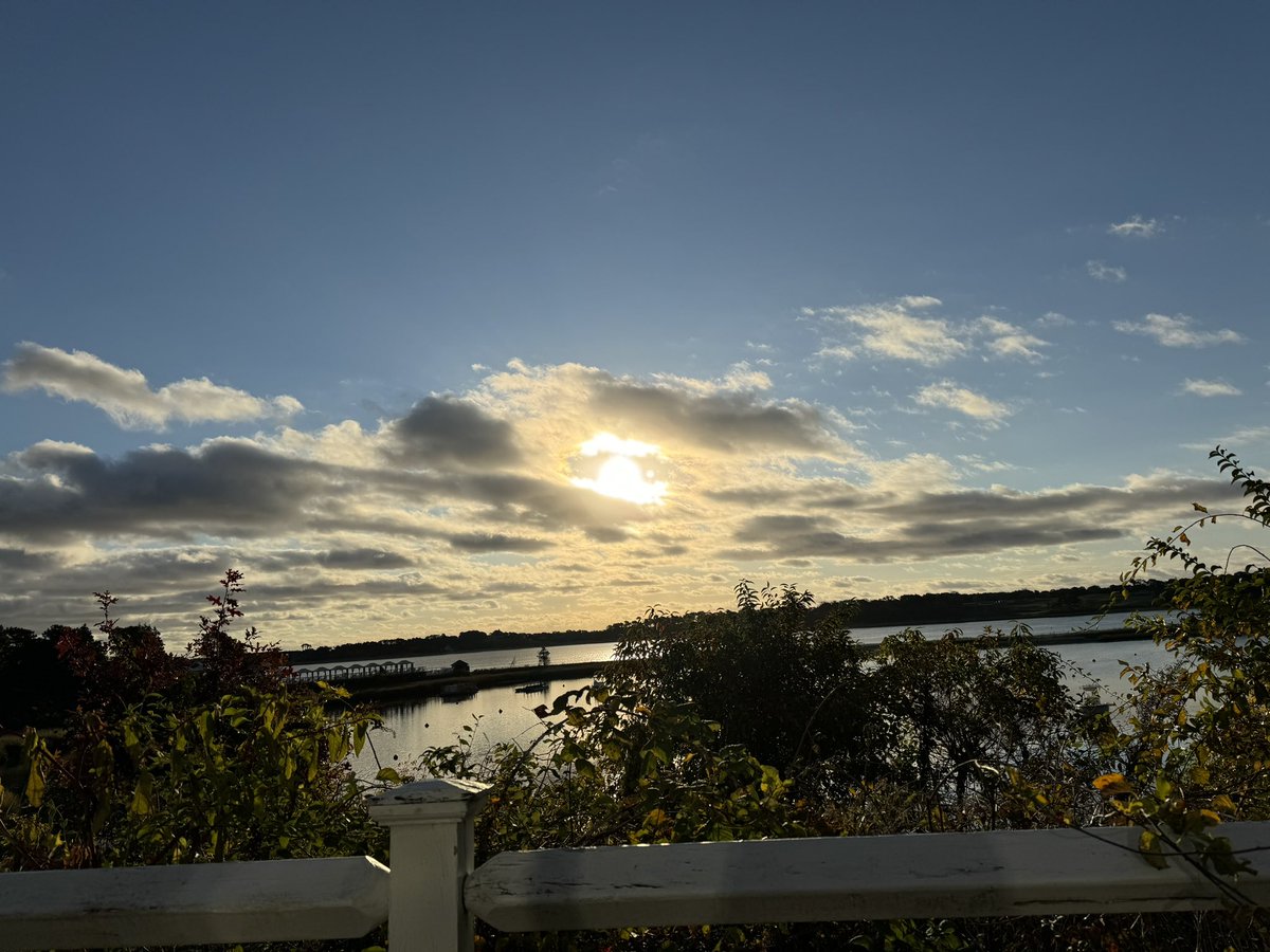 Virgo ♍️⭐️ tweet media