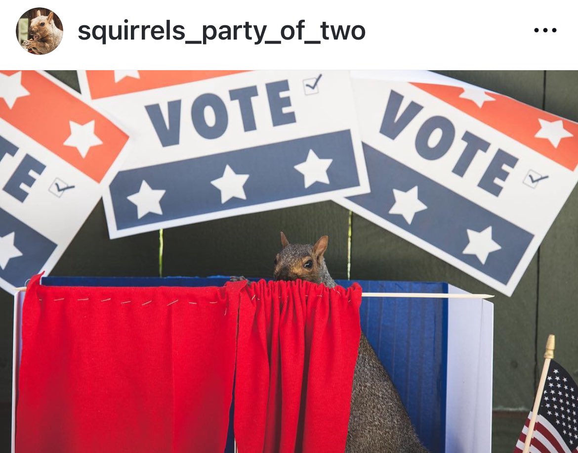 Ratatosk4's tweet photo. @BornToRoar @pirate_bitch @plutokiller @RachelintheOC @RebeccaSchinsky @RobertBurriss VOTE. https://t.co/vxOnu3nc1W